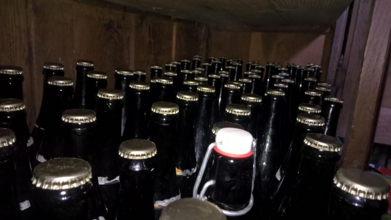 Petite Maison De Campagne Plouec-du-Trieux エクステリア 写真